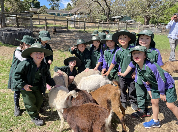 Students on a farm excursion petting goats