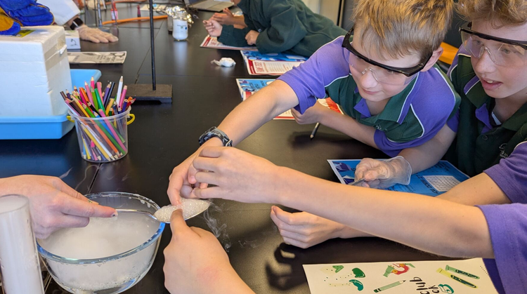 Students at Marsden High School's science laboratory